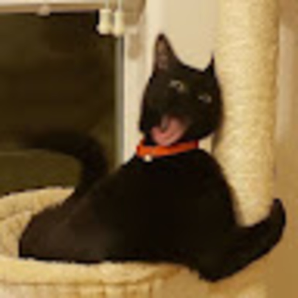 Meet your Posher, Isa